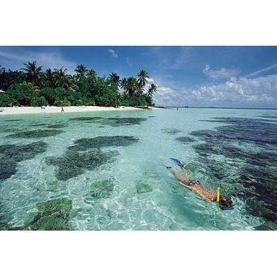 Die neuesten Urlaubsfotos