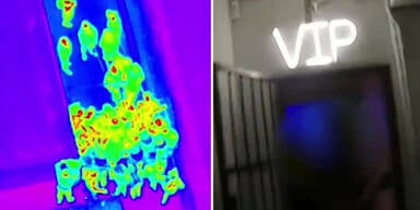 Polizei schlie&szlig;t Club mit 150 G&auml;sten