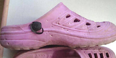 Alle jagen Kärntner Krokodil