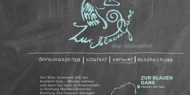 blaue_gans