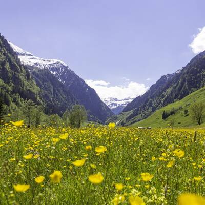 Impressionen aus dem Raurisertal