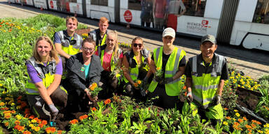 Stadtg&auml;rtner pflanzen Blumen.