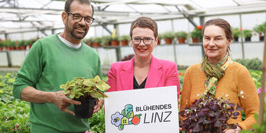 Schänste G#rten gesucht.