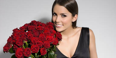 Die richtige Blume zum Valentinstag