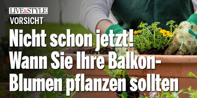 Vorsicht, nicht schon jetzt! Wann Sie Ihre Balkonblumen pflanzen sollten