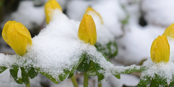 Erneut Schnee im Anmarsch