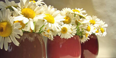 Banker vererbte Dorf 2,7 Millionen Euro