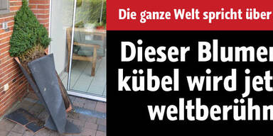 Dieser Blumenkübel ist weltberühmt