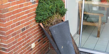 Dieser Blumenkübel ist weltberühmt