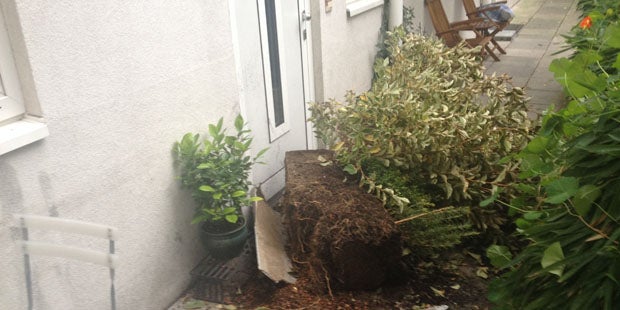 Orkan wütet in Österreich