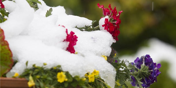 Starkregen überflutet Österreich
