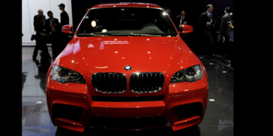 Die M-GmbH traut sich was