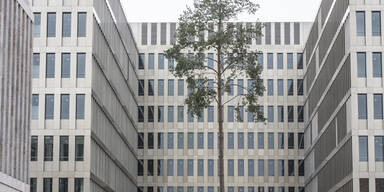 Geheimbeh&ouml;rden vereitelten IS-Anschlag auf Festival