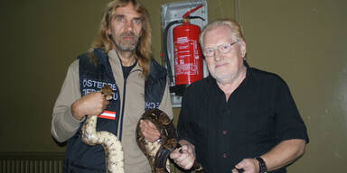 Würge-Boa schockt Salzburg