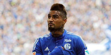 Schalke legt Stars auf Eis