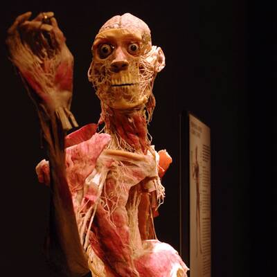 Die besten Bilder aus 