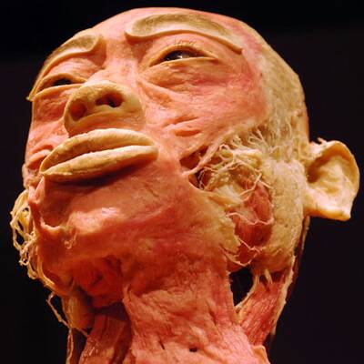 Die besten Bilder aus 