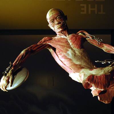 Die besten Bilder aus 