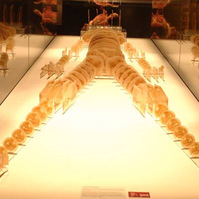 Die besten Bilder aus 