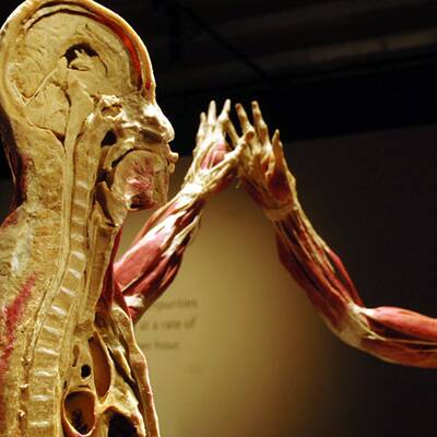 Die besten Bilder aus 