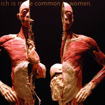 Die besten Bilder aus 