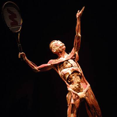 Die besten Bilder aus 