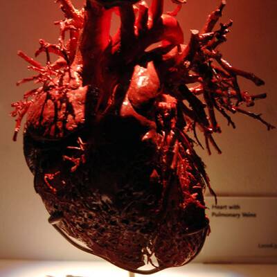 Die besten Bilder aus 