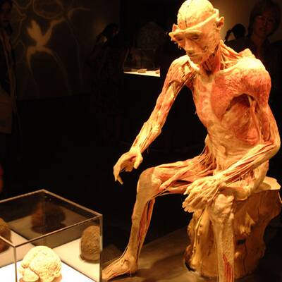 Die besten Bilder aus 