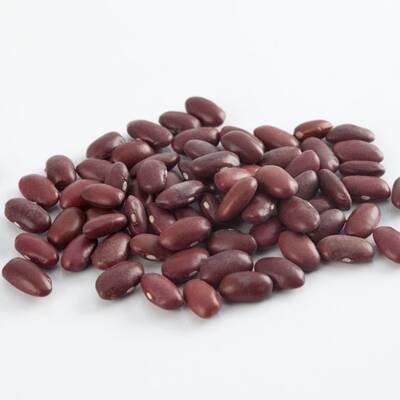 Austern haben einen hohen Anteil von Zink. Zink moduliert das bei Allergien fehlgeleitete Immunsystem.