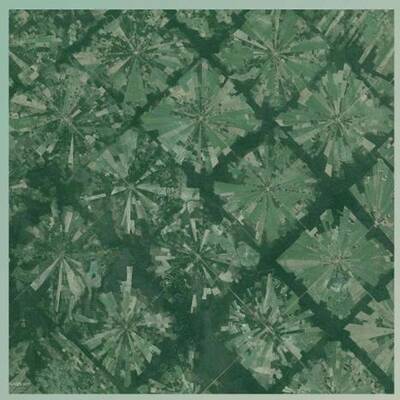 Das wurde aus dem Regenwald, Bolivien