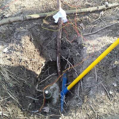 250-Kilo-Bombe gesprengt