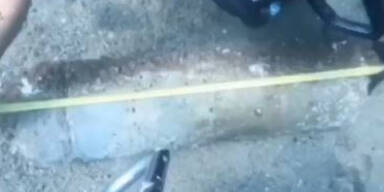 Bombenalarm am Strand in Barcelona