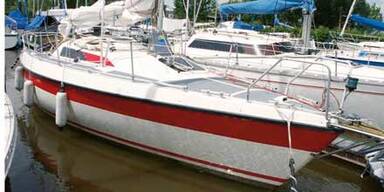 Segeldrama: Nur der Hund überlebte