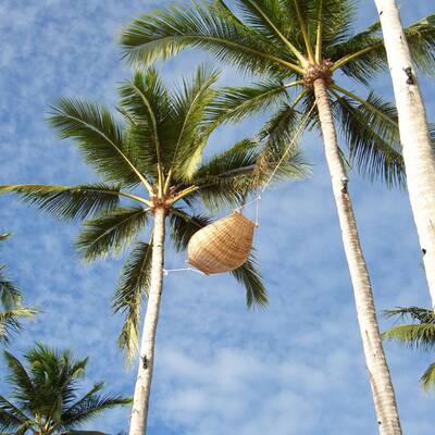 Platz 10: Vancouver Island (Kanada)