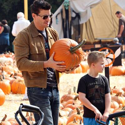 Kürbis-Mania in Hollywood