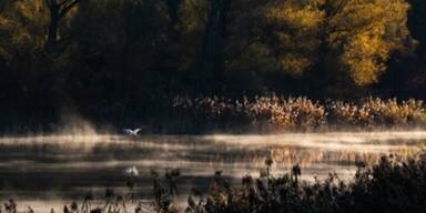 &Uuml;ber 100.000 Besucher im Botanischen Garten