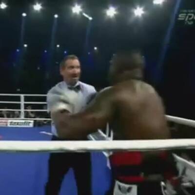 Boxer schickt Wiener Ringrichter auf die Bretter