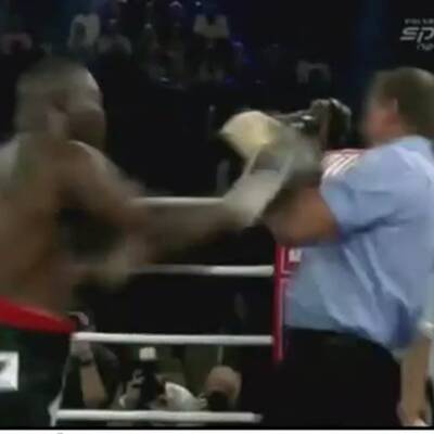 Boxer schickt Wiener Ringrichter auf die Bretter