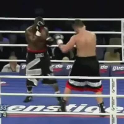 Boxer schickt Wiener Ringrichter auf die Bretter