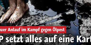 Ölpest: BP riskiert jetzt alles