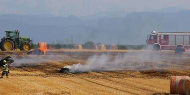 Trockenheit f&uuml;hrt zu zahlreichen Br&auml;nden.