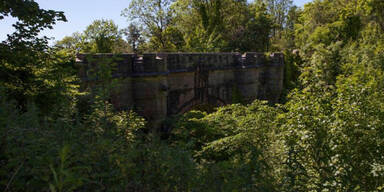 Mysteri&ouml;s: Von dieser Br&uuml;cke springen Hunde in den Tod