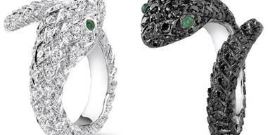 Jolie, Pitt und Schlangen