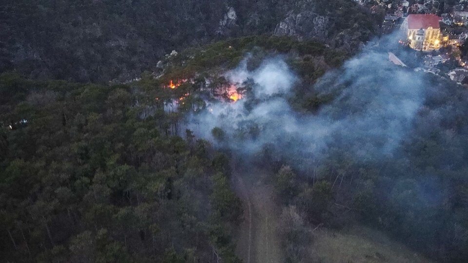 Feuerwehreinsatz wegen Waldbrand bei Mödling