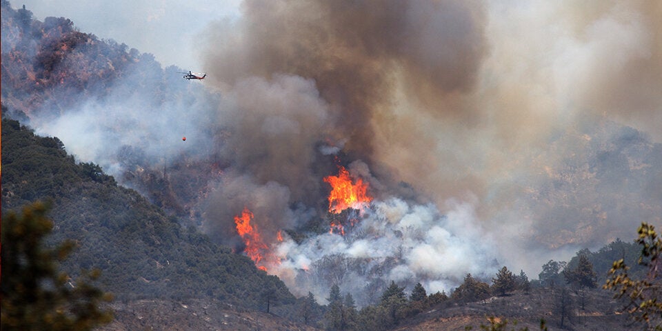 feuer waldbrand kalifornien