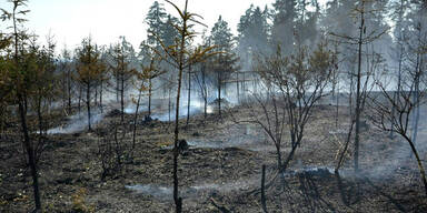 Heuer 300 Hitze- Tote befürchtet