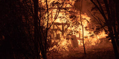 Stall-Brand in O&Ouml;: Mehr als 100 H&uuml;hner verbrannt