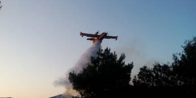 Hitze und Waldbr&auml;nde in Bulgarien