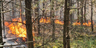 Waldbrand