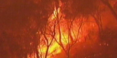 Buschbrände zerstören 40 Häuser